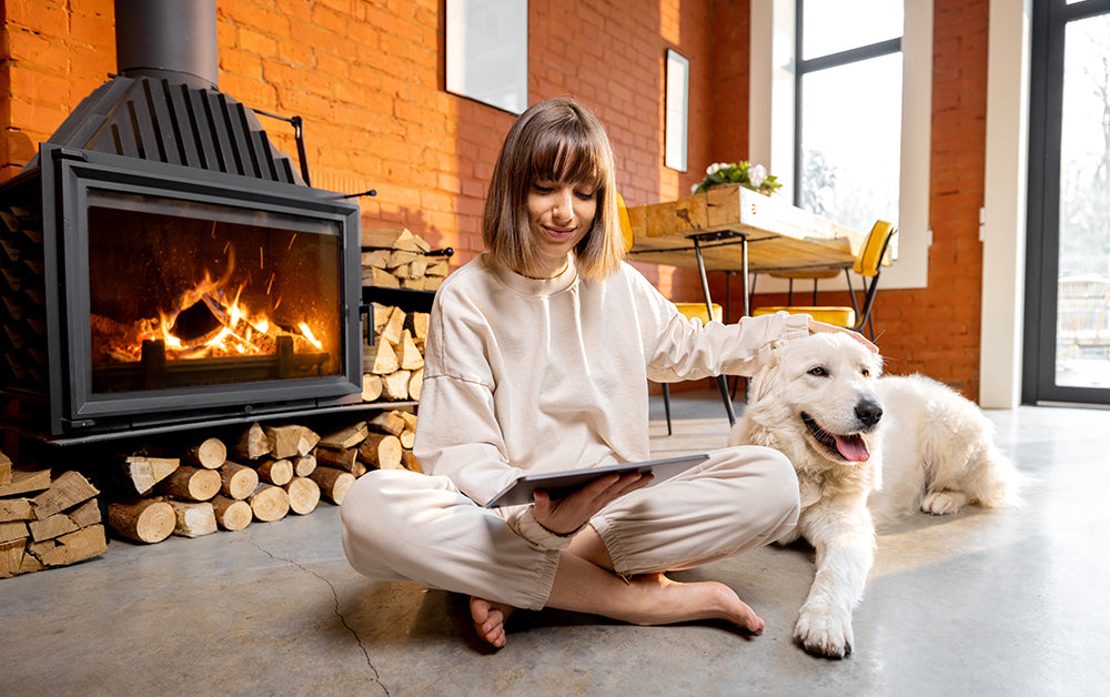 Carbon Monoxide and Your Pets: The Invisible Threat You Can't Afford to Ignore