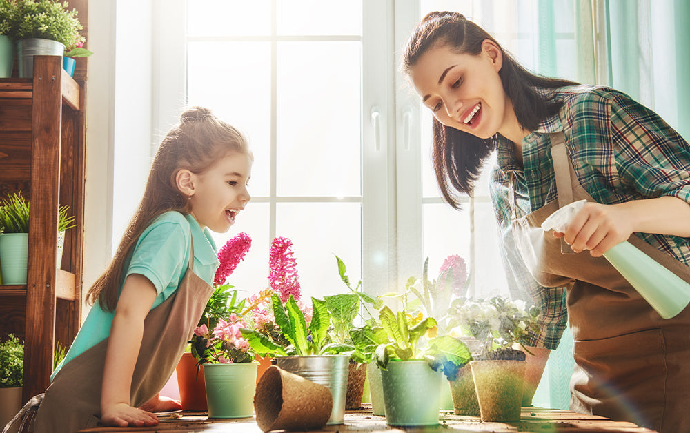 When Spring Makes Your Smoke Alarm Cry Wolf