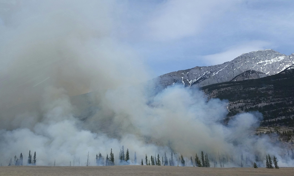 how wildfire smoke affects smoke alarms
