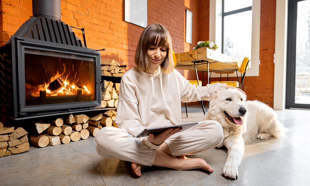 Carbon Monoxide and Your Pets: The Invisible Threat You Can't Afford to Ignore