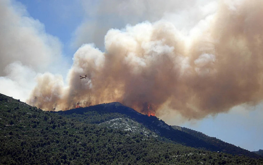 How Wildfire Smoke Affects Smoke Alarms—and What You Can Do About It