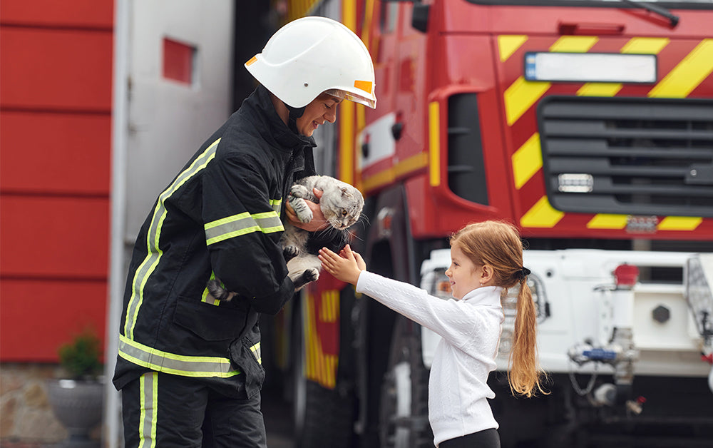 Top Fire Hazards for Pets at Home And How to Prevent Them