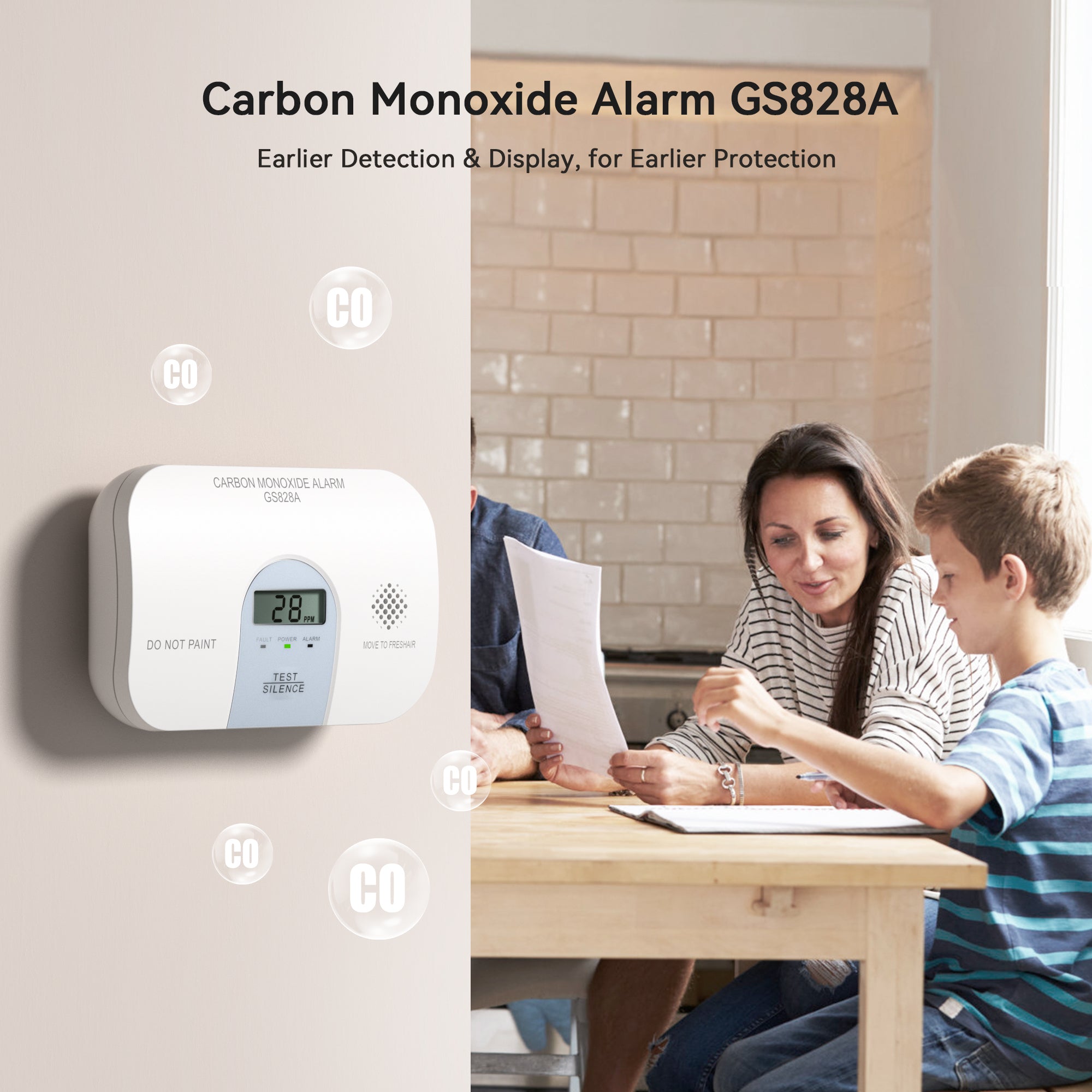 GS828A Carbon Monoxide Detector